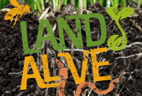 land alive logo - with worm, bee and seedling