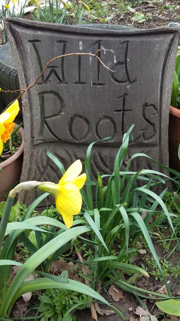 Wild roots sign