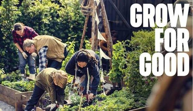 Grow for Good gardening image