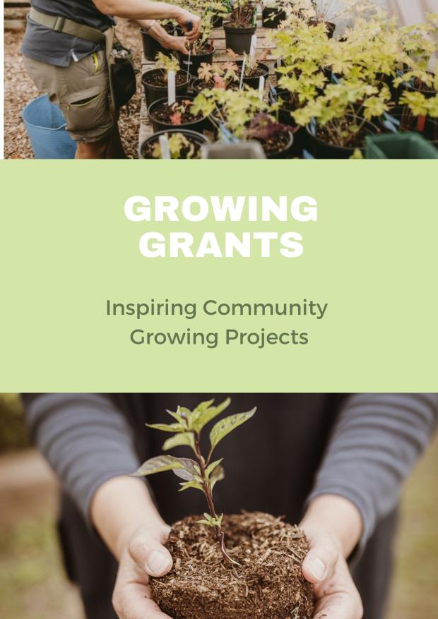 Cover of growing grants booklet - hads holding plant