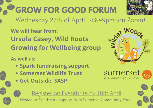 green forum flyer with line up (see text)