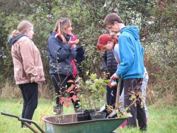 Volunteers with wheelbarrow full of [plants 