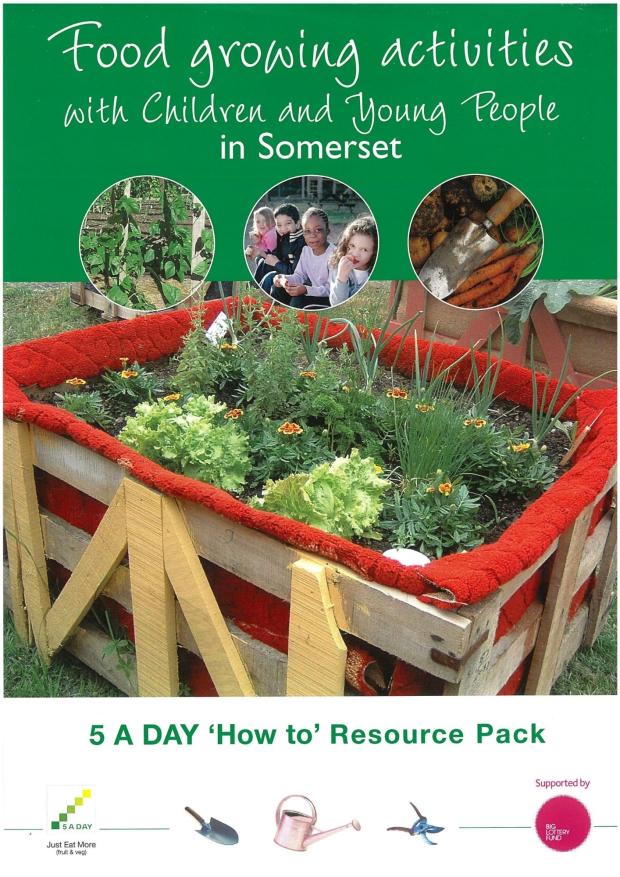 Cover of Growing resource pack - home made raised bed with salad growing it