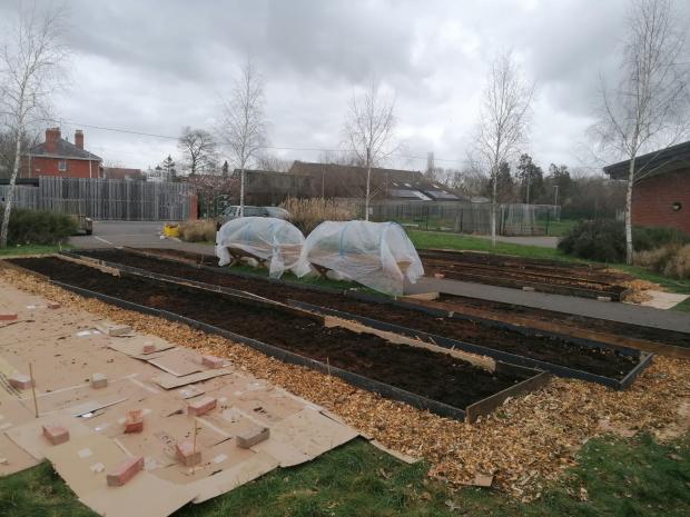 photo of garden showing long raised growing beds filled with compost