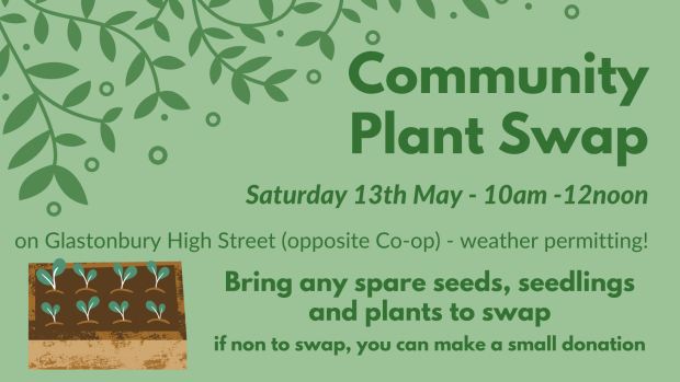 community plant swap flier - with image of seedlings growing