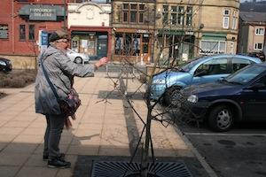 tree planted on street