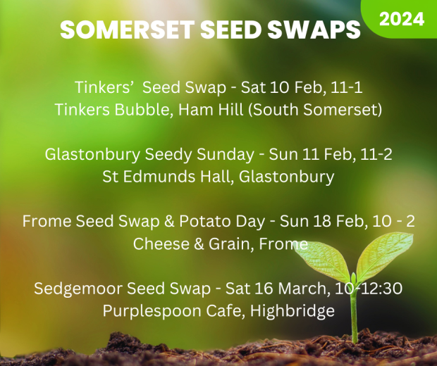 Somerset seed swaps flyer 2024