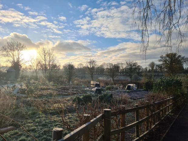 frosty view of pilton allotments