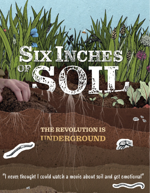 six inches of soil flyer - soil layers and soil creatures