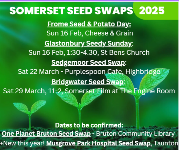 Seed swap list - with green seedlings