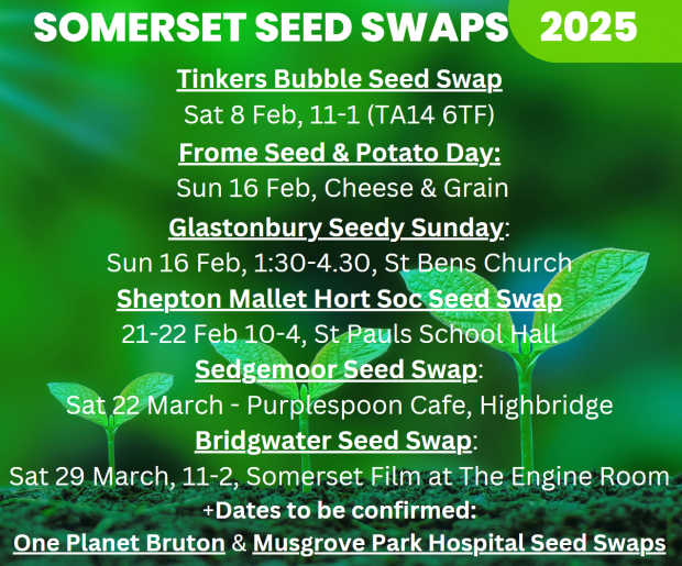 Seed swap list - with green seedlings