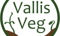 Vallis veg logo