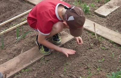 boy sowing seeds