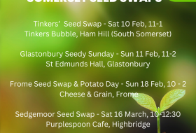 Somerset seed swaps flyer 2024