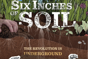 six inches of soil flyer - soil layers and soil creatures