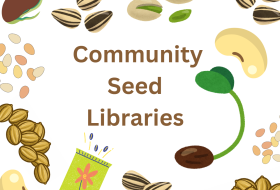 community seed library text with pictures of seeds