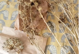 photo of a dry selection of seed stalks